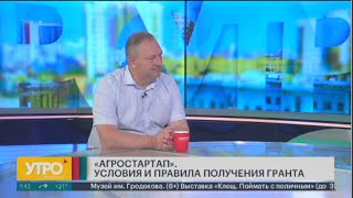 Агростартап. Кто и как может получить грант? Утро с Губернией. 04/07/2024. GuberniaTV