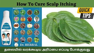 How To Cure Scalp Itching  | தலையில் வரக்கூடிய அரிப்பை எப்படி போக்குவது