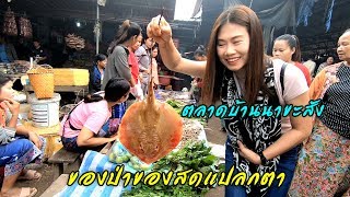 สบายดีแบกเป้เที่ยวลาวใต้ EP.19 ของป่าของสดแปลกตาเยือนถิ่นตลาดบ้านนาขะสัง