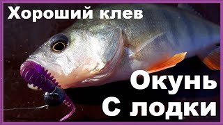 Ловля окуня на спиннинг на силикон вечером с лодки