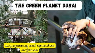 The Green Planet Dubai | Hidden Rain Forest In Dubai | Malayalam Review