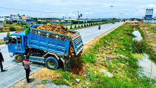 Unbelievable Processing Filling Up The Land huge, Bulldozer Amazing By Dump Truck 5 Ton unloading