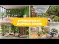 6 Principles of Biophilic Design 🌳🌱