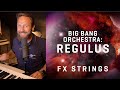 BBO: Regulus - FX Strings - Introduction