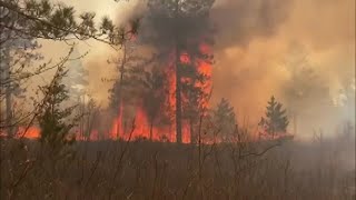 Wildfire season sparks in Wisconsin, DNR says