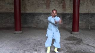 Shaolin Xin yi ba and Xin yi by Shi Yanyou