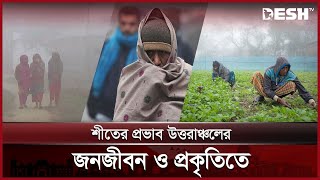 বাড়ছে শীতের তীব্রতা, কাঁপছে পঞ্চগড় | Panchgarg | Winter | News | Desh TV