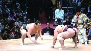 平成28年大相撲九州場所14日目　千代翔馬　旭秀鵬