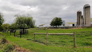 Virtual Walk Lancaster County Amish Cornfields & Farms. Nolt Road. Relaxing & Peaceful!