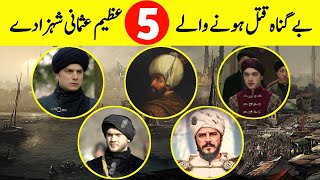 Painfull Story of 5 Innocents Ottoman Princes || برادر کشی کا شکار ہونے والے عثمانی شہزادے
