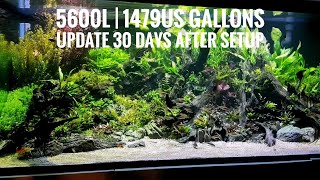 5600L | 1479US Gallons | UPDATE 30 days after setup | The Belgium Project