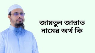 জায়তুন জান্নাত নামের অর্থ কি