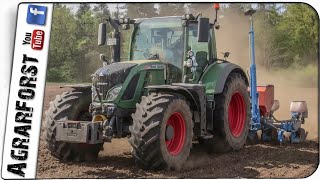 Fendt 700 Vario SCR - 🌽 Maissaat 2020 🌽 mit Monosem 6 Reiher