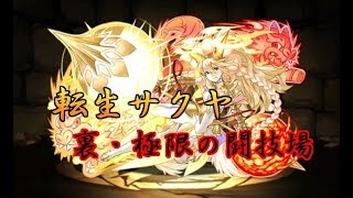 【パズドラ】裏・極限の闘技場(ノーコン) 裏双極の女神 転生サクヤ ソロクリア