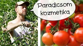 Paradicsom teendők avagy visszatérés a palántákhoz