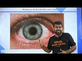 human eye and the colorful world marathon part 1 class 10 science cbse 2025🔥shimon sir