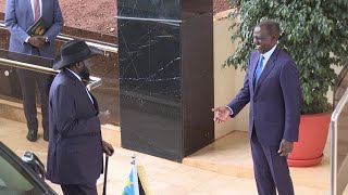 See how President Ruto Received African Heads of State at Statehouse, Nairobi!