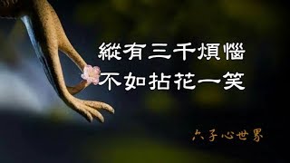 禪心美文【縱有三千煩惱，不如拈花一笑】\u0026佛曲欣賞