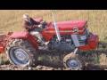 Massey Ferguson Heritage - 60s