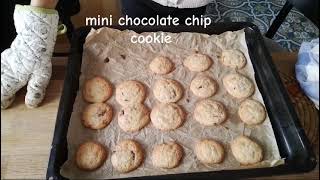 Mini Chocolate Chip Cookie Recipe