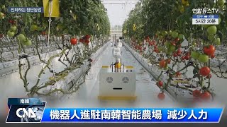 南韓智能農場 機器人進駐監測｜中央社影音新聞