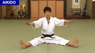 Aikido - Let's improve your UKEMI！Shirakawa Ryuji shihan