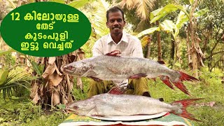 2 BIG CATFISH CURRY | THEDU CURRY | Kerala Style Fish Curry Cooking In Village