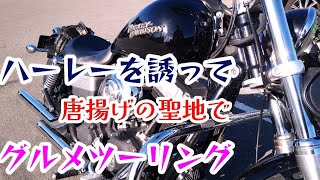 【Ninja1000】大分 日田の唐揚げランキングTOP3巡り【モトブログ】#九州ツーリング #バイクツーリング #ハーレー #ファームロード