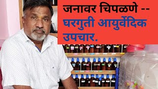 जनावर चिपळणे/हगवण/Diarrhoea -- घरगुती आयुर्वेदिक उपचार. By Dr. A.P KOTGIRE