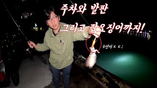 주차후 바로앞 갑오징어포인트들이 많은곳! cuttle fish