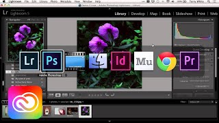 Adobe Creative Cloud for Photographers | Adobe Creative Cloud