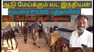 ஆடு மேய்க்கும் வட இந்தியன் ₹10,000 சம்பளம் பத்தாயிரம் / @tamilvivasayi