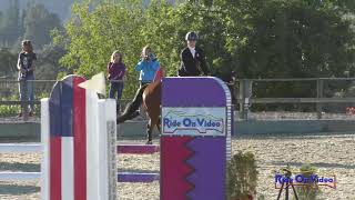 050S Meg Pellegrini on Ganymede CCI2* Short Show Jumping Woodside Oct. 2019