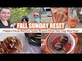 FALL SUNDAY RESET! Pumpkin Pecan Muffins! Spider Brownie Bites! FAST EASY CALORIE DEFICIT MEAL PREP!