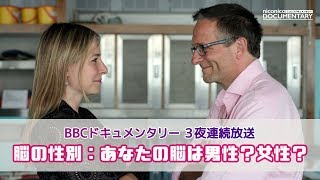 【予告編】脳の性別：あなたの脳は男性？女性？