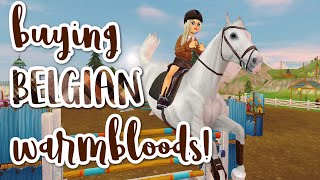 Buying Belgian Warmbloods! //Star Stable