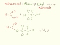 esters essential organic chemistry.