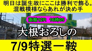 【競馬予想】7月9日の特選一鞍【大根おろし】