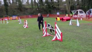 19/03/2017 ETAPLES FABRICE CALI JUMPING MASTER