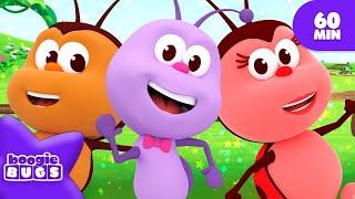 The Little Bugs Round | Summer Vacation Songs | Fun Holiday Tunes for Kids🐞 BOOGIE BUGS