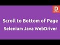 Scroll to bottom of Page Selenium Java