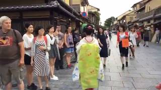 Ep. 3 Geishaspotting: In search of geisha in the Gion district of Kyoto, Japan