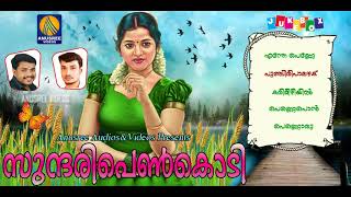 കിടിലൻ നാടൻപാട്ട് Malayalam Folk Songs Malayalam New Hits Songs