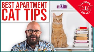 BEST Apartment Cat Hacks