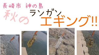 秋のランガンエギング!!長崎市神の島