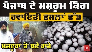 Mashroom  ਦੀ ਖੇਤੀ ਨੇ ਬਦਲੀ Hoshiarpur ਦੇ ਭਰਾਵਾਂ ਦੀ ਕਿਸਮਤ