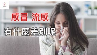 感冒 了嗎？ 感冒 一定要看醫生嗎？ 流感 和 感冒 又有什麼不同呢？你知道 感冒藥 是什麼成份嗎！！ 今天聊聊吧，來談一下流感 和 感冒 的差別，並且綜合感冒藥到底是什麼成份  /  聊 健康