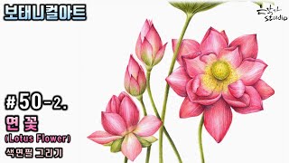 [Flower Painting/Botanical Art] #50-2. Lotus Flower colored pencil drawing (Flower Drawing Lesson)