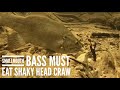 Smallmouth Bass Must Eat Shaky Head Craw  #shorts