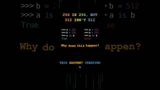 Python Secretly Reuses Your Integers #python #programming #pythontips #integers #caching #shorts